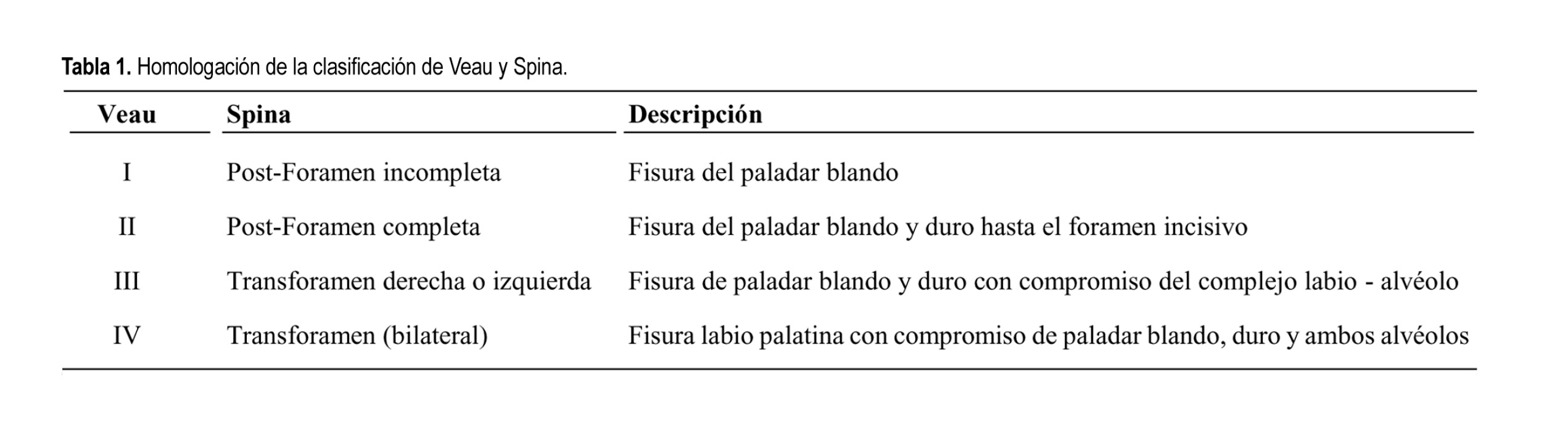 palatoplastia%20(4).jpg